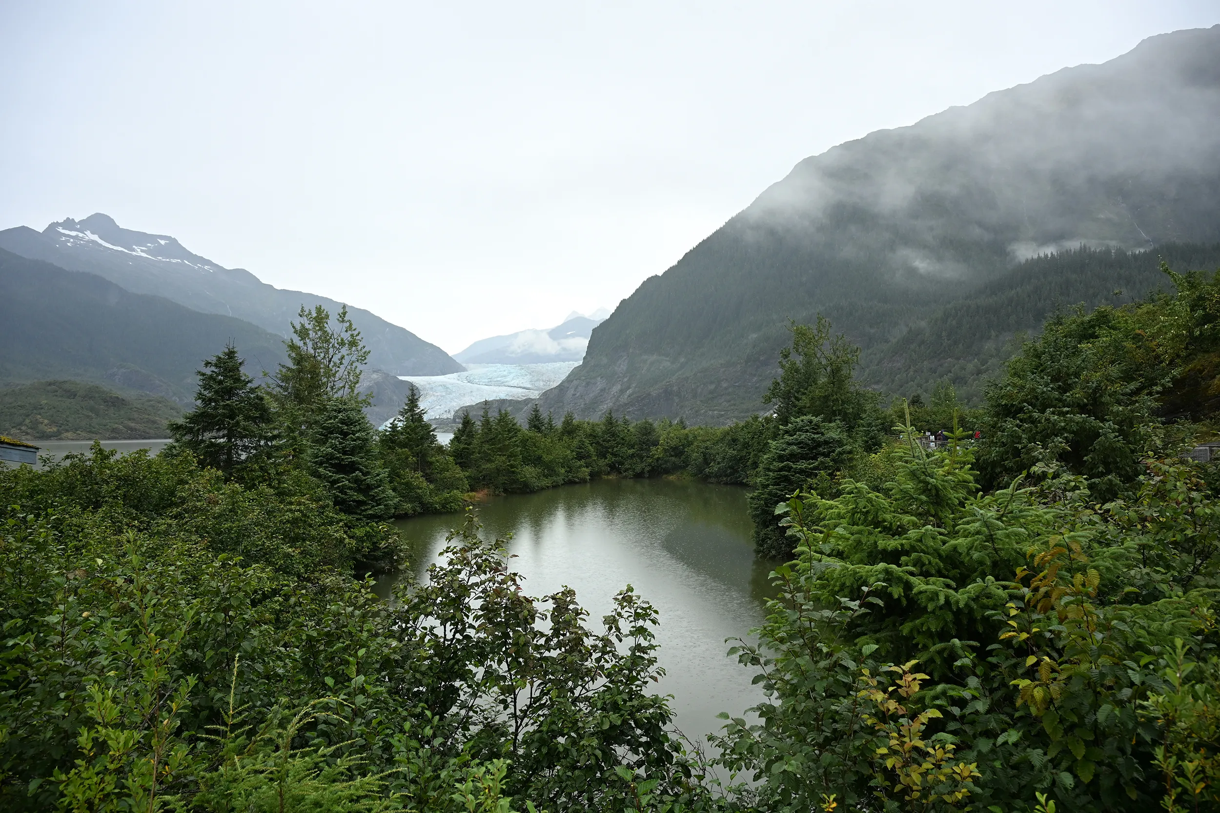 Glacier  Bay 4 - Alaska