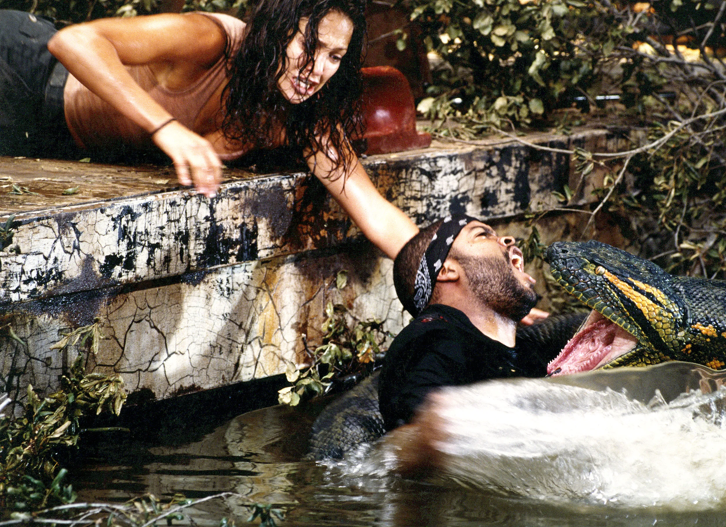 Anaconda - Amazon