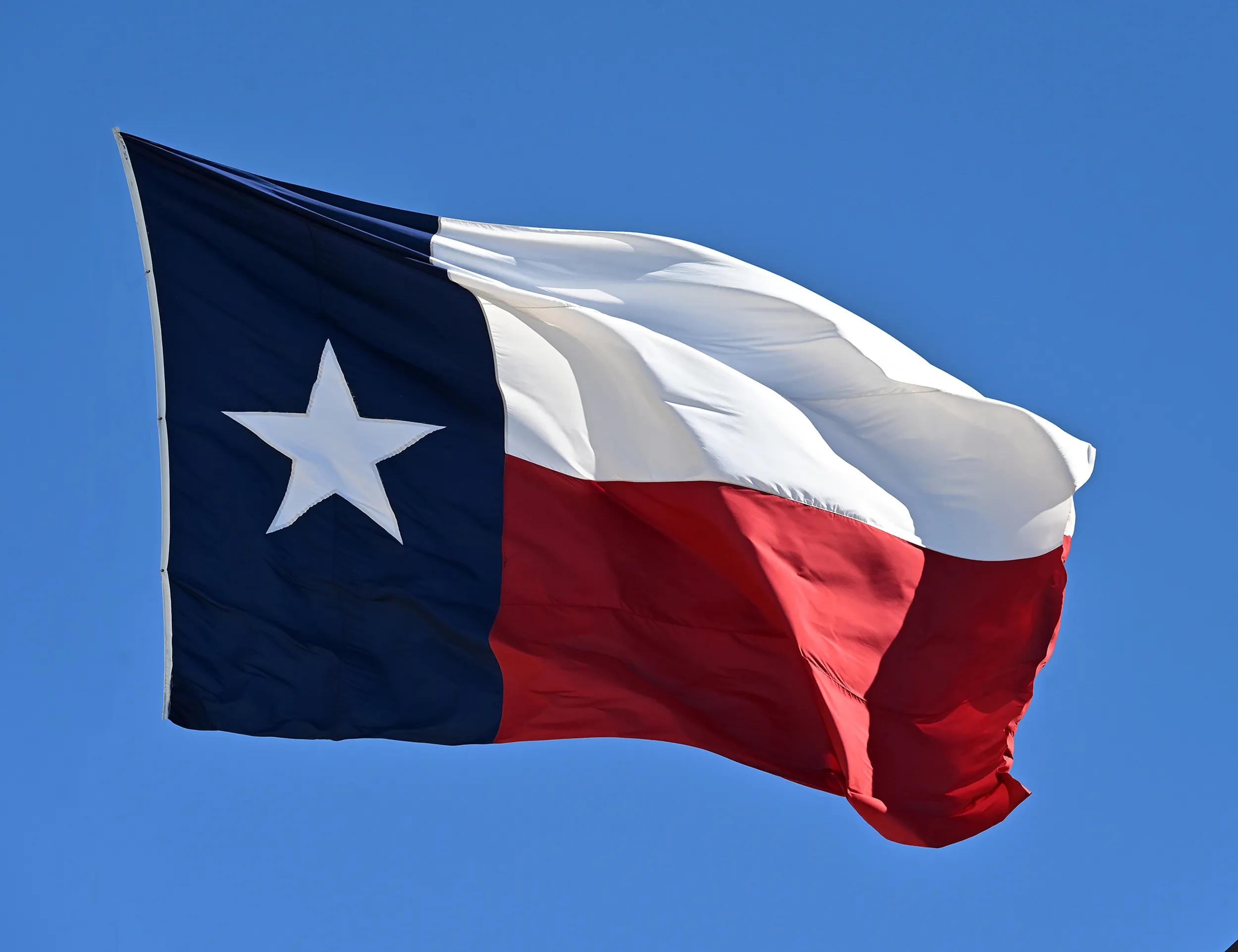 Texas Flag