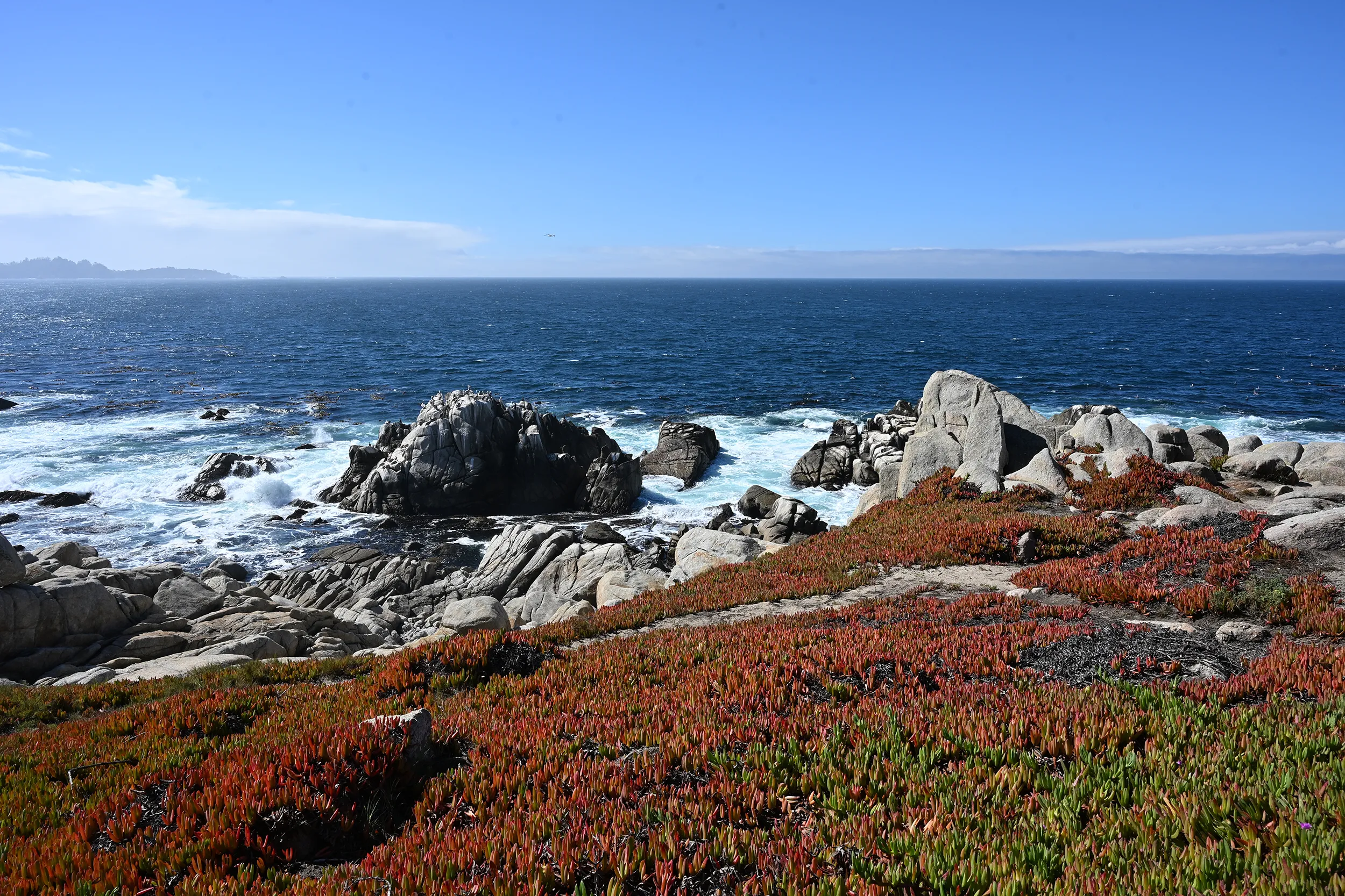 Medecino Coastline