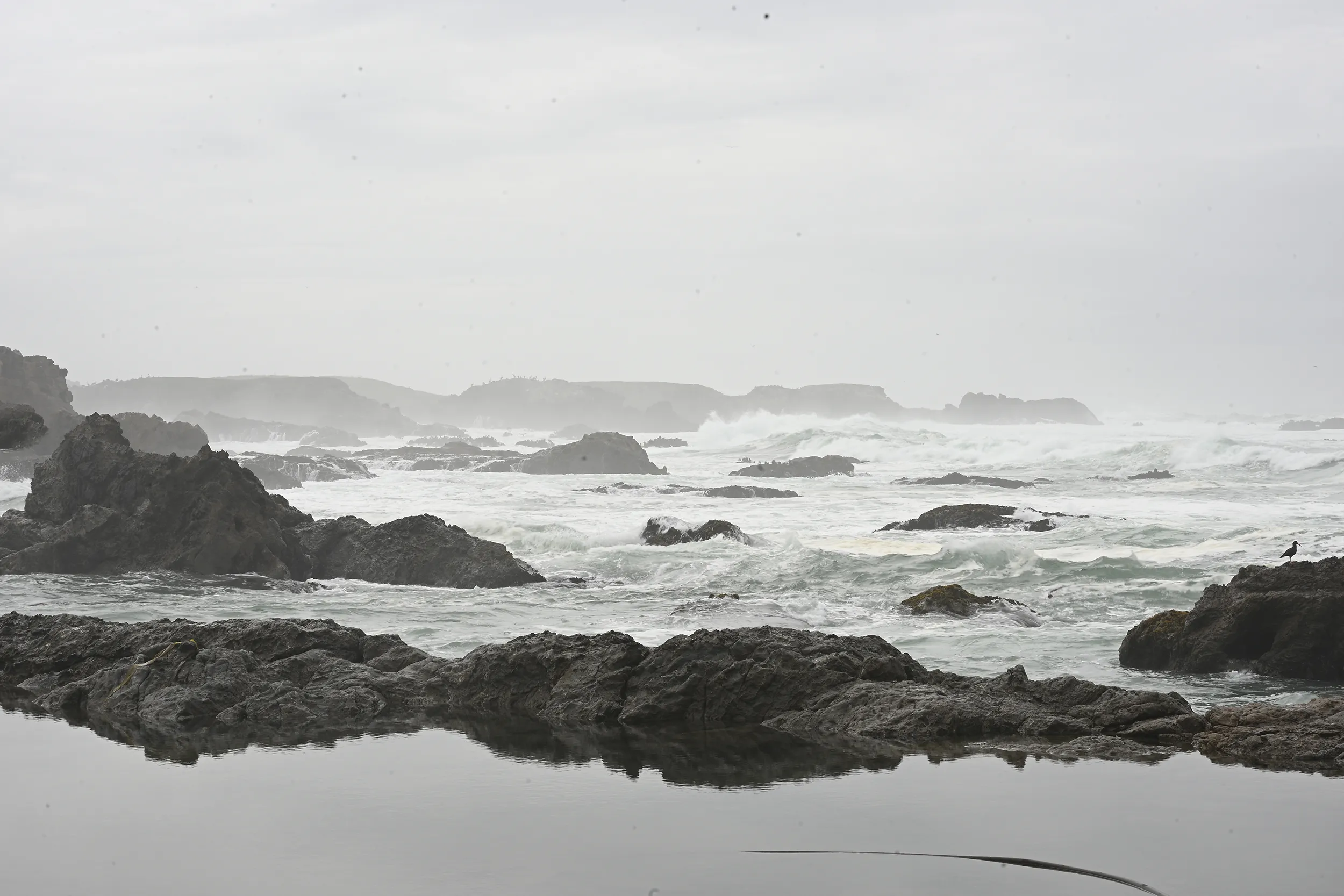 Ft. Bragg Coastline 2