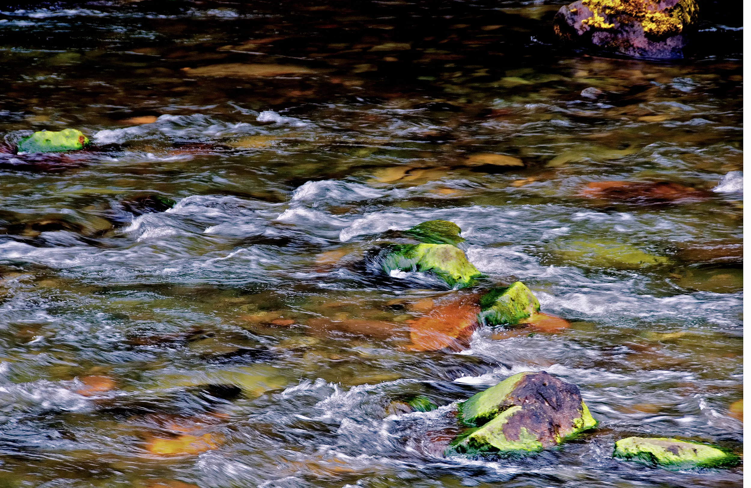 Mossy Rocks - Columbia River, Oregon