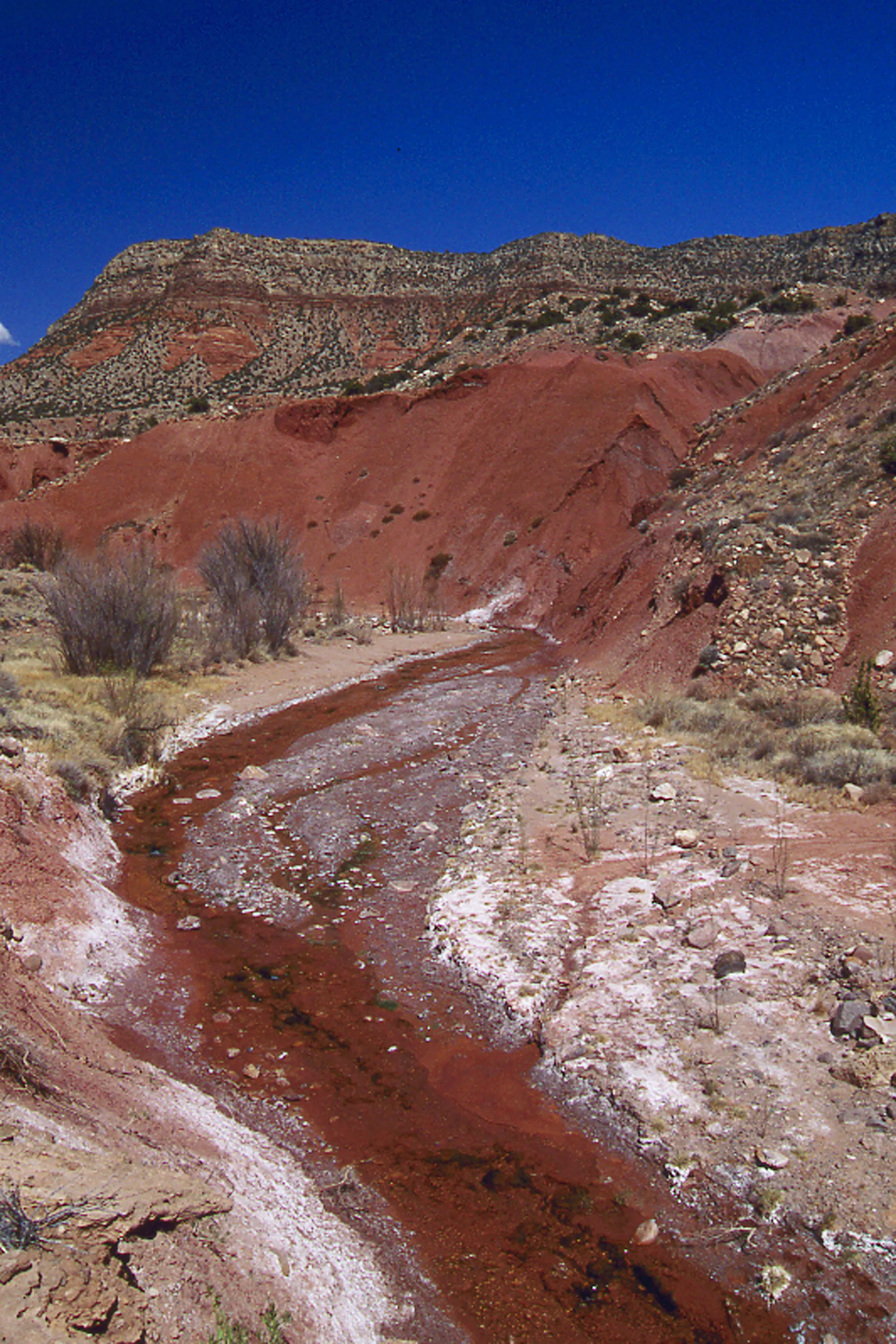 New Mexico Stream
