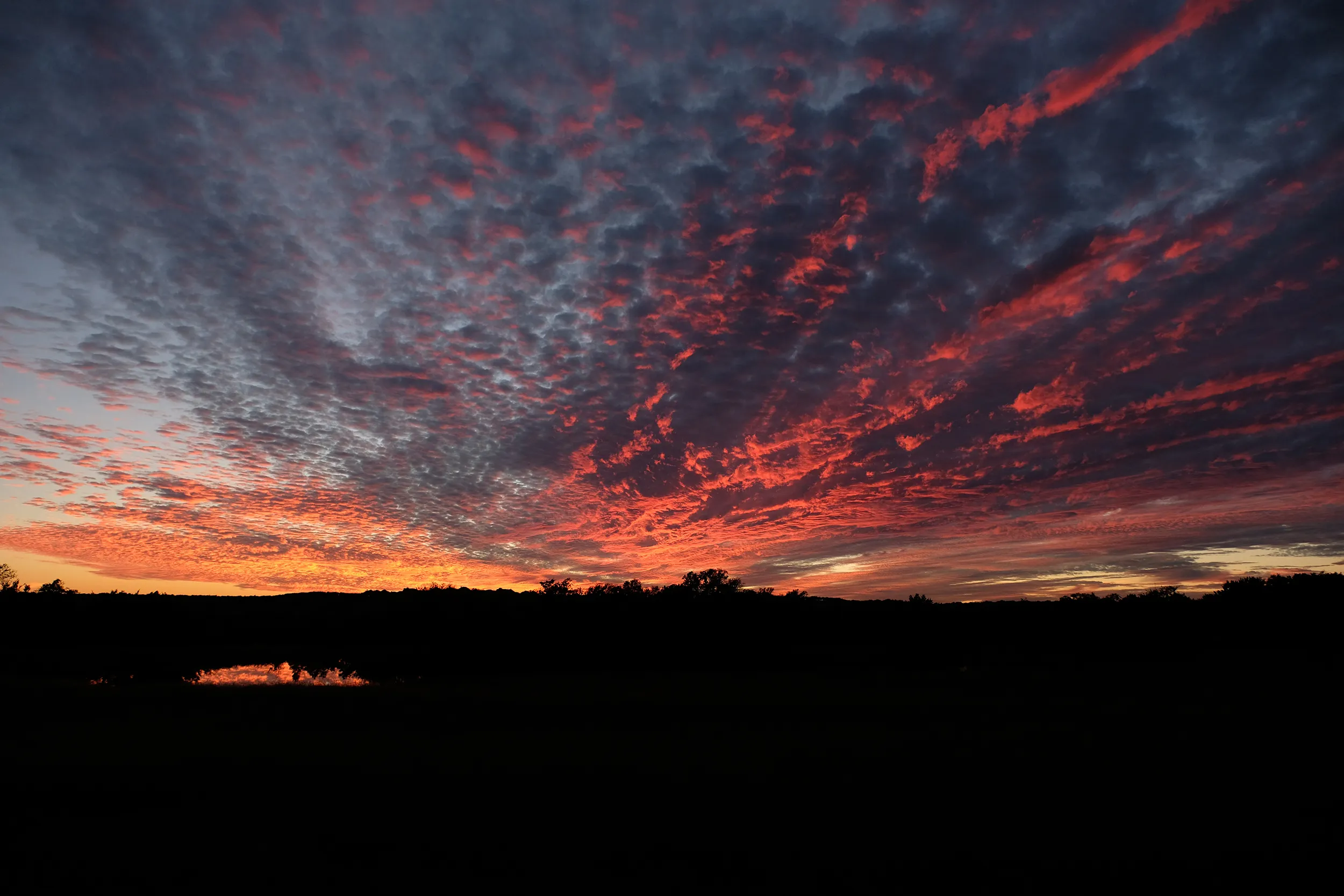 Sunset and Pond