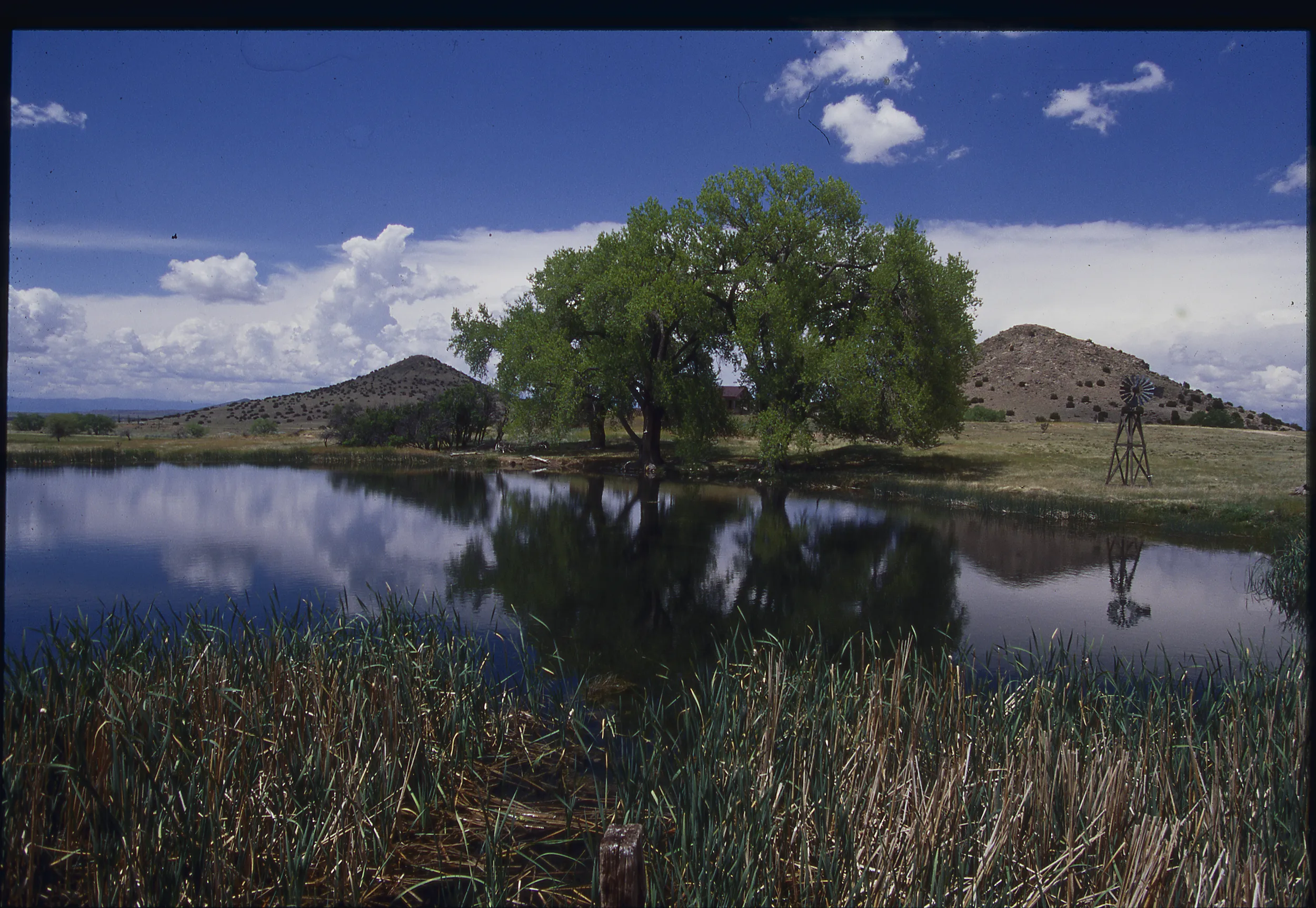 West Texas Pond & Mountain